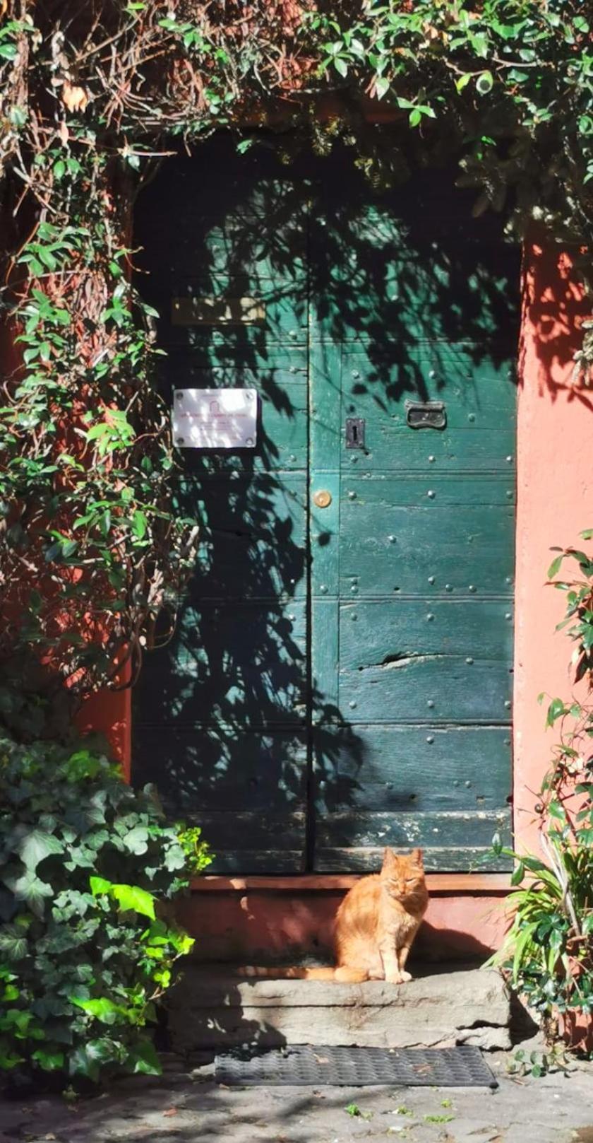 רומא Apartments Campo De Fiori מראה חיצוני תמונה
